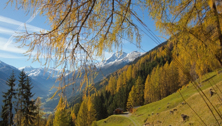 Am Weg zur Starkenburger Hütte