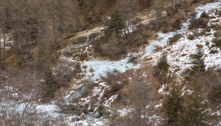 Der nordseitig verlaufende Wanderweg zwischen der Stöcklenalm und Oberissalm ist nahezu unpassierbar!