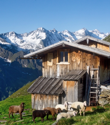 Seduck Hochalm am Stubaier Höhenweg