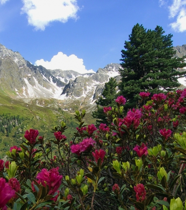Am Weg zur Hütte!