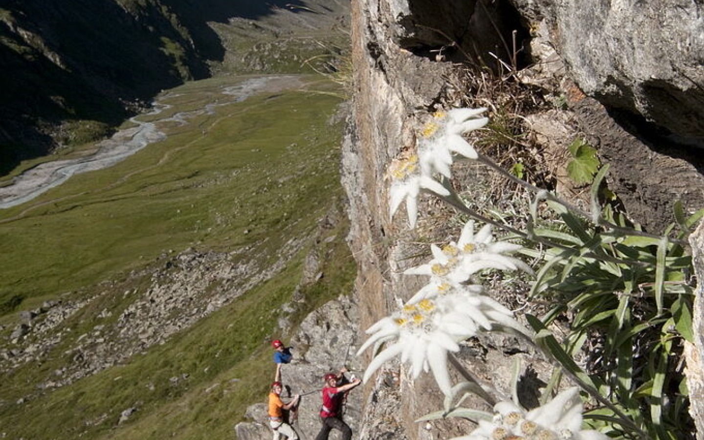 Edelweiß Klettersteig (via ferrata)
