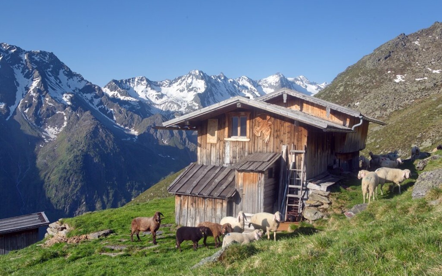 Short report on today's on-site inspection, which took me from Seduck in the Oberbergtal to the Seduck-Hochalm and from there on along the Stubaier Höhenweg to the Franz Senn Hütte!