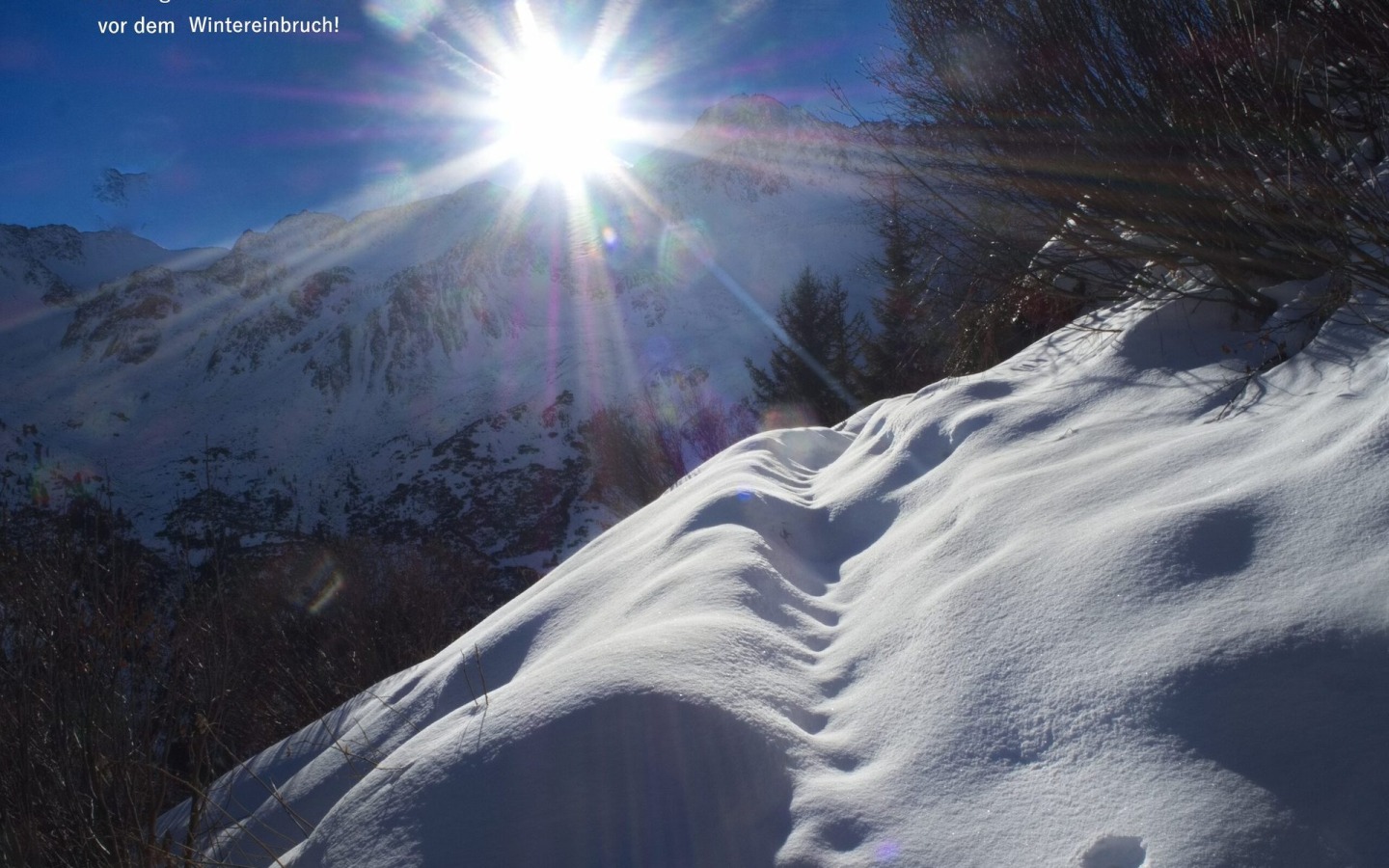 Before the forecast onset of winter...