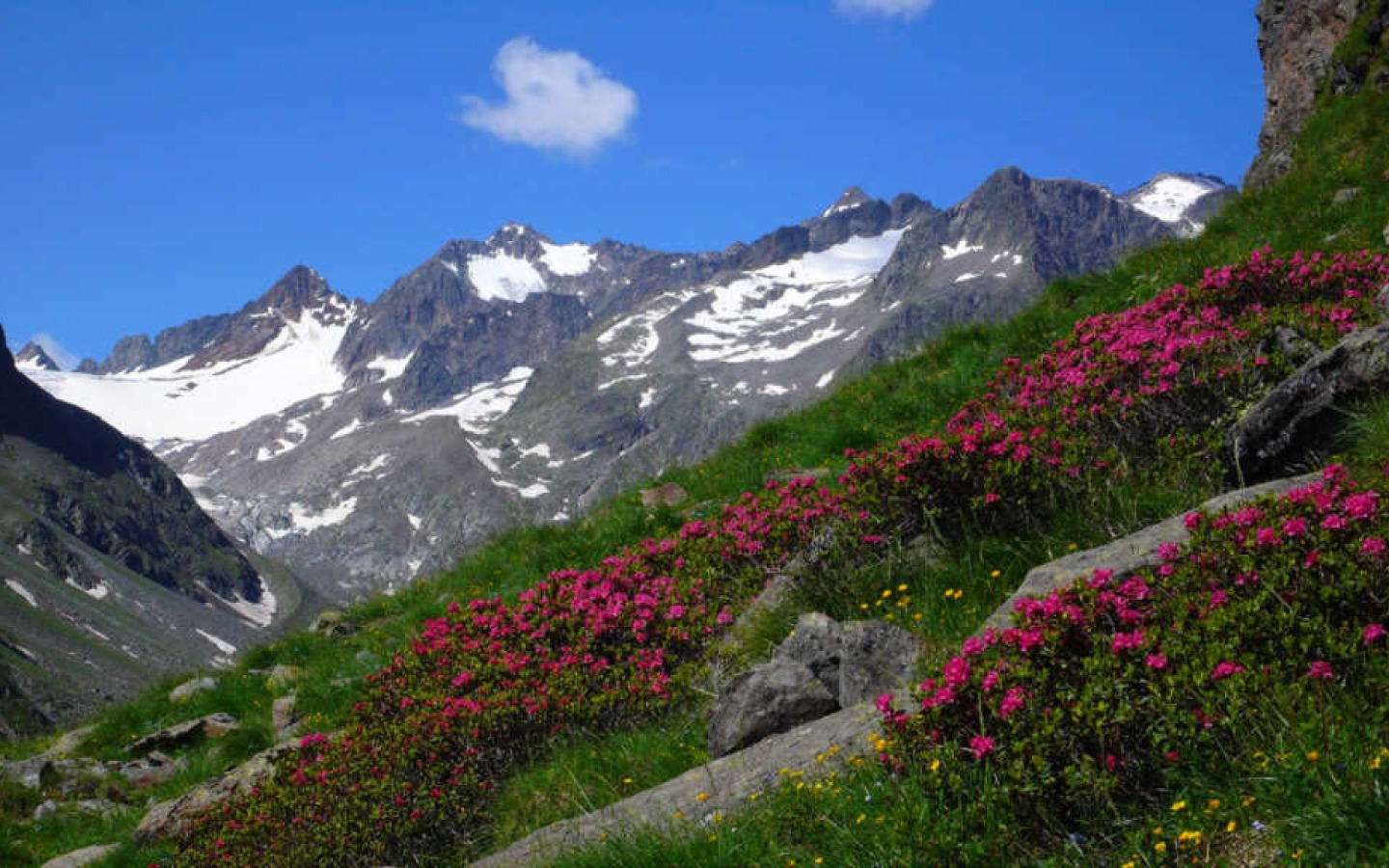 Sehr gute Bedingungen am Stubaier Höhenweg und allen Gletscher und Gipfeltouren.