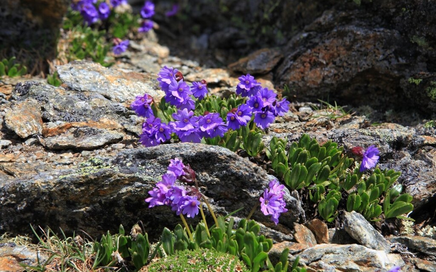 Good conditions for hiking for the time of year, and most of the glacier tours have a track too!