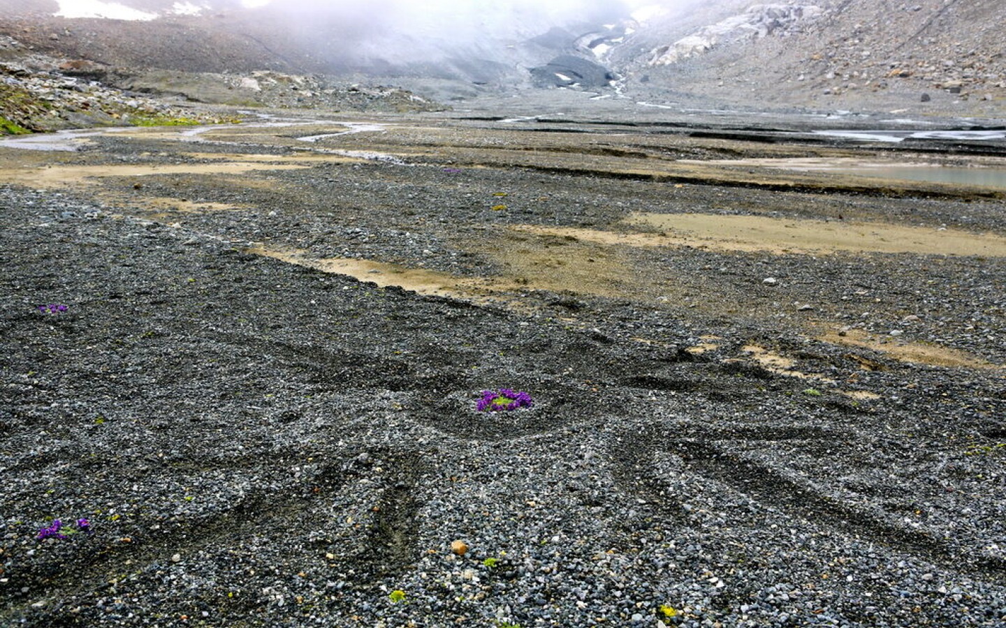 Mountain hiking and climbing isn't only fun on sunny days – so-called bad-weather days certainly have their charm too.