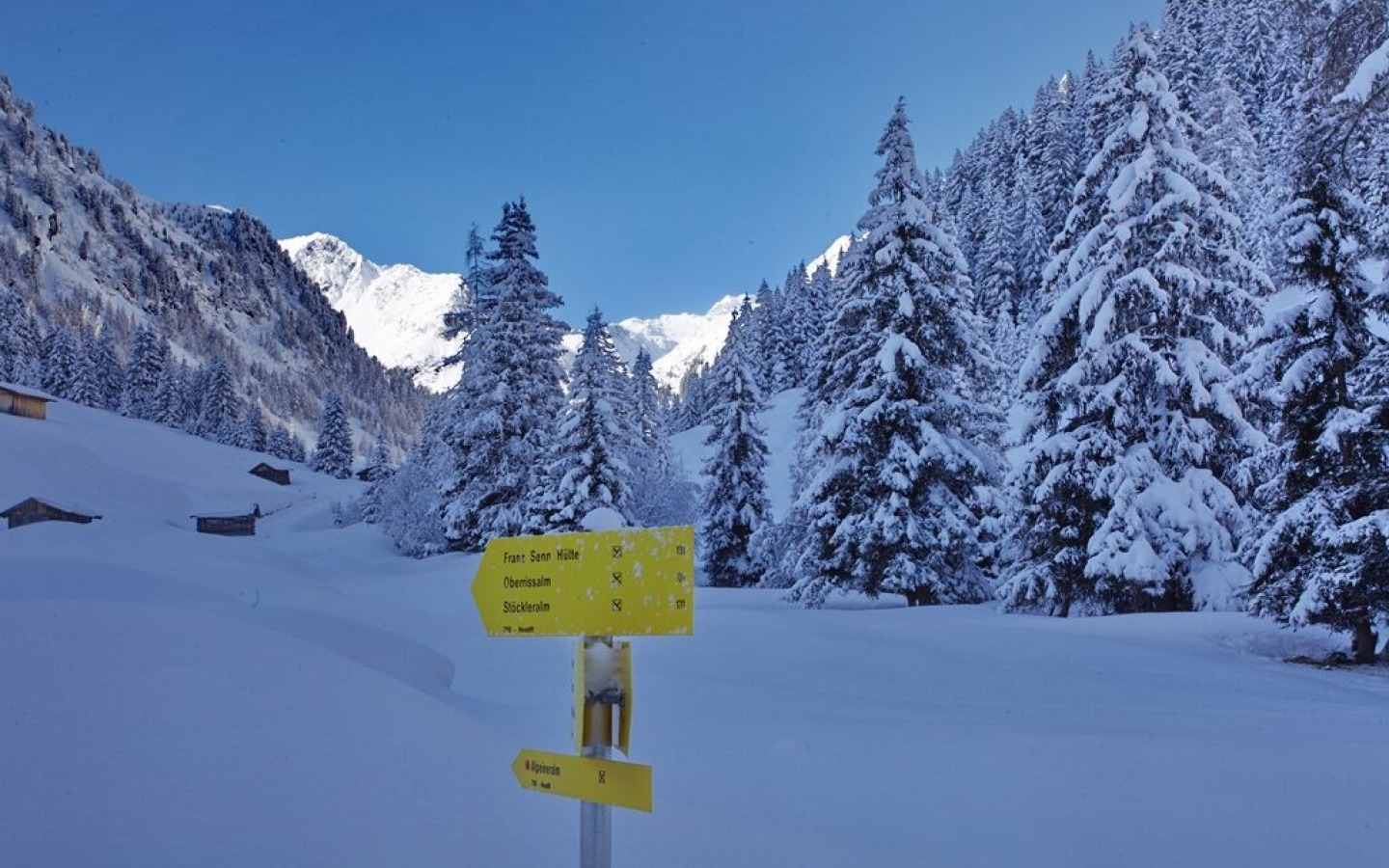 The last period of precipitation brought 42cm of fresh snow at the hut! The snow depth increases considerably with altitude.