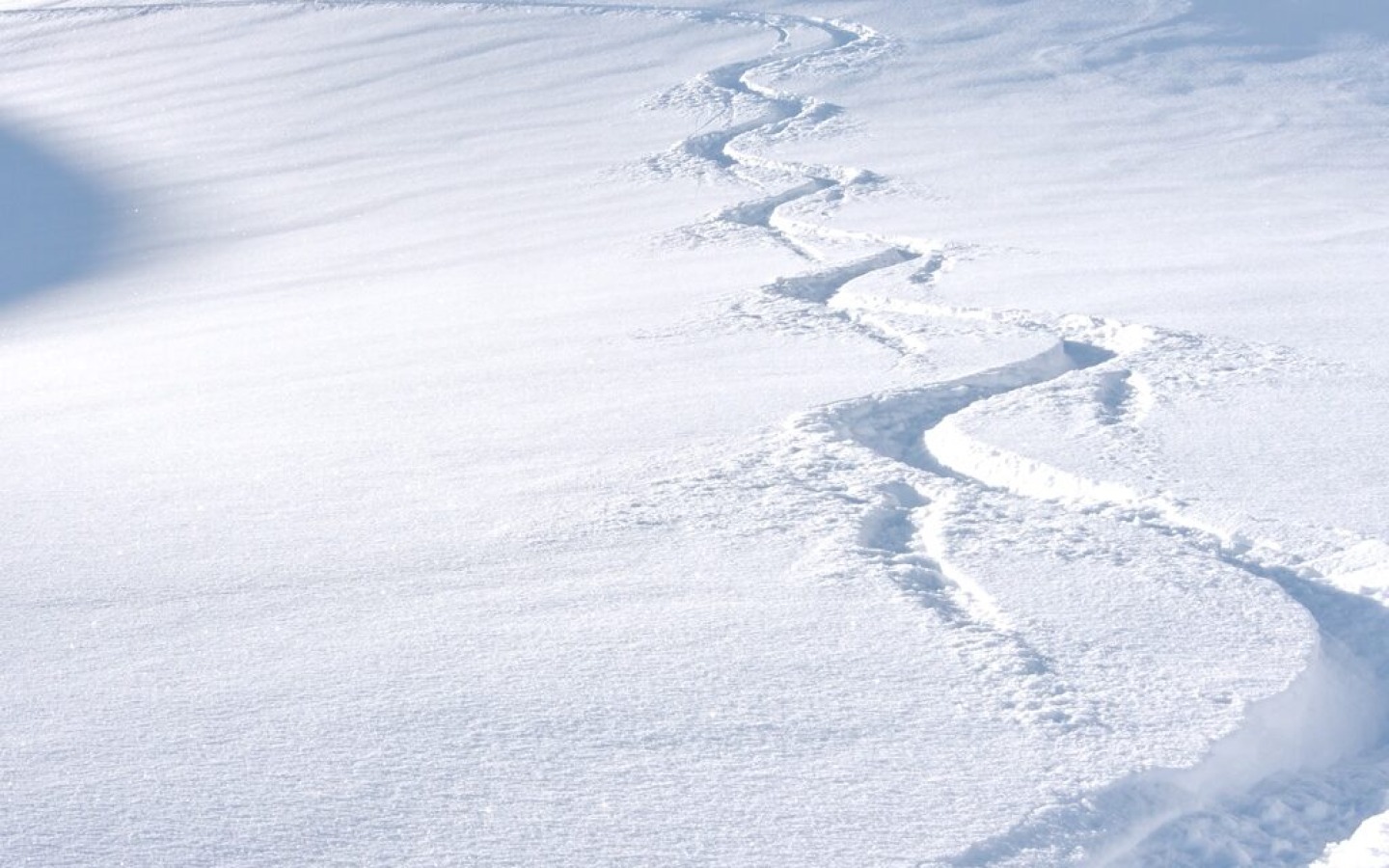 Snowpack investigation on 22.01.2014
